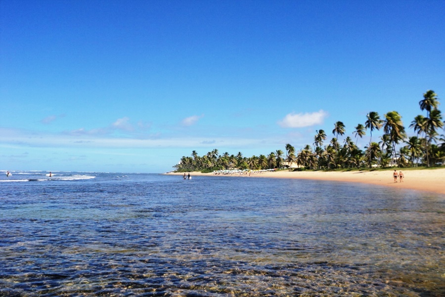 Praia-do-Forte-Bahia-coral